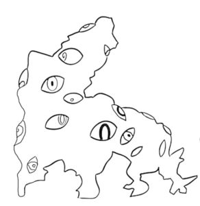 Kaufmo Kaufmo